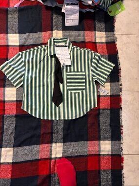 RLX Ralph Lauren Green & White Striped Short-Sleeve Button-Down Shirt